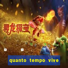 quanto tempo vive um passarinho bem-te-vi